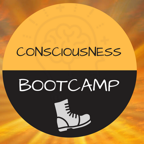 2017 Consciousness Bootcamp by Lighthouse Workshops